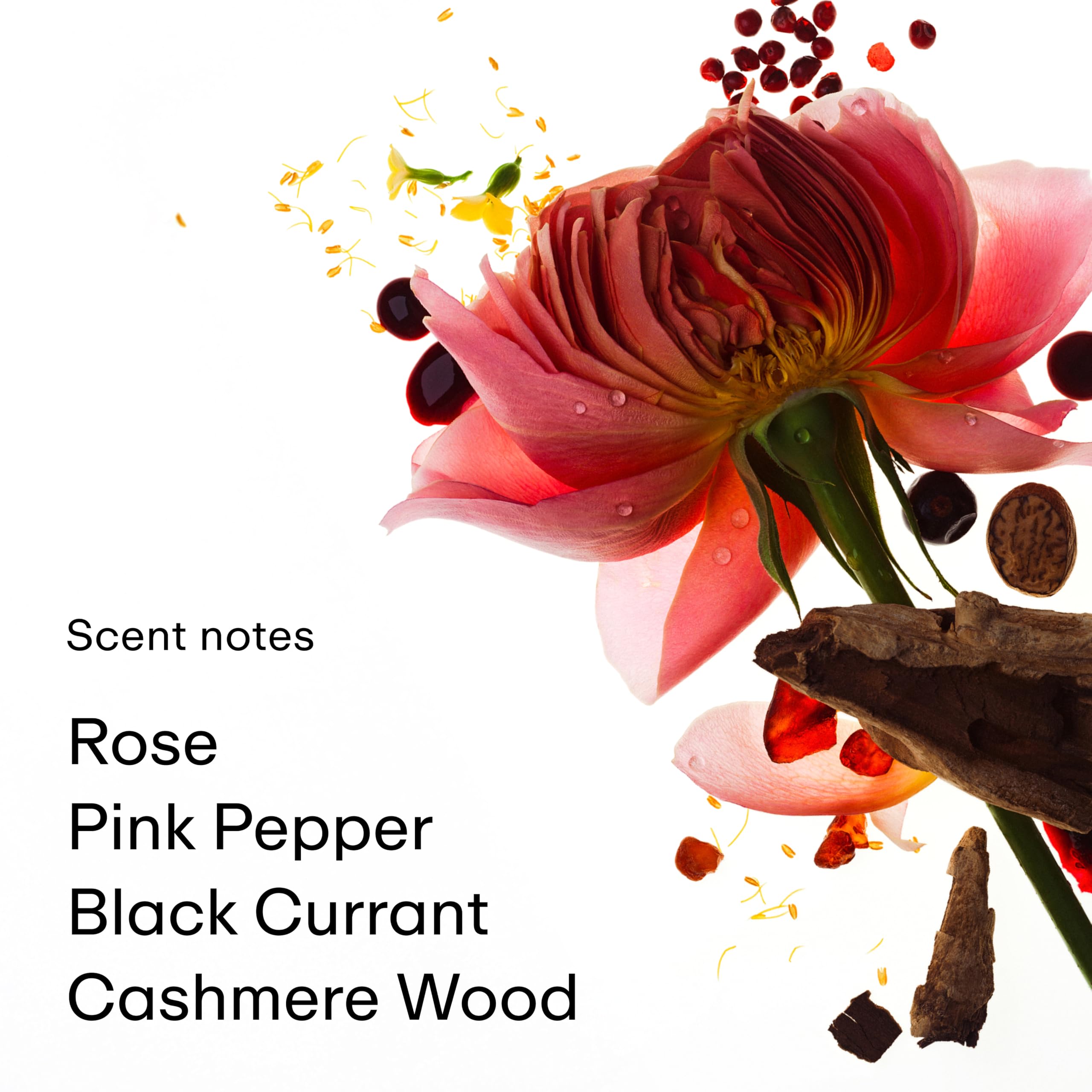 Aroma floral Rose Whip con notas rosadas y cálidas
