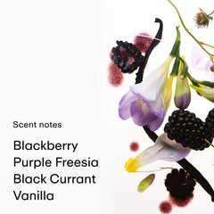PHLUR Vanilla Blackberry Body Mist label close-up with fruity vanilla profile.