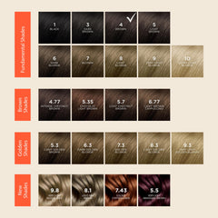 PHYTO Phytocolor coloring cream tube delivering even application and rich brown tones.