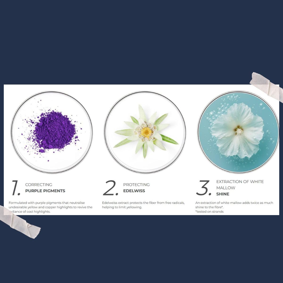 PHYTO Purple No Yellow shampoo softens and smooths hair after use