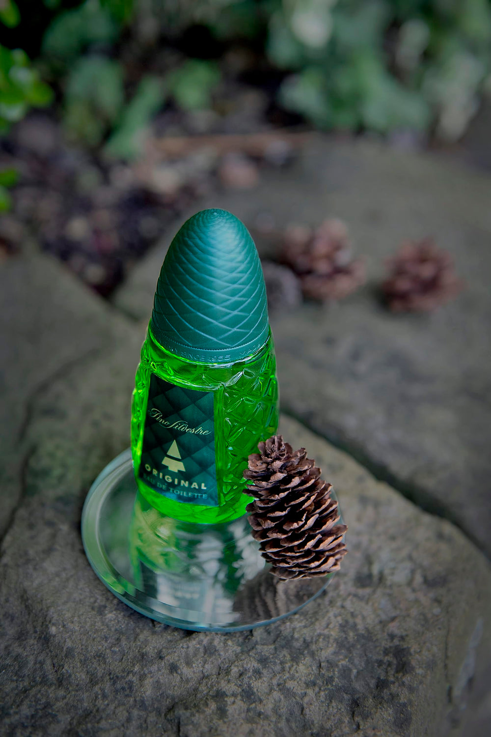 Pino Silvestre Original 4-2oz cedar-wood bottle ready to travel.