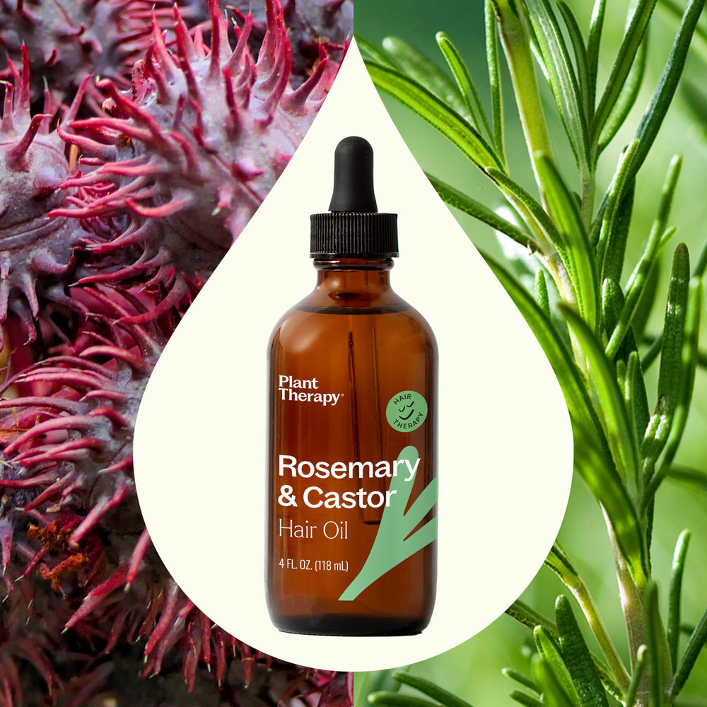 Plant Therapy Rosemary & Castor Oil: mezcla con aceite de almendras dulces para hidratación profunda.
