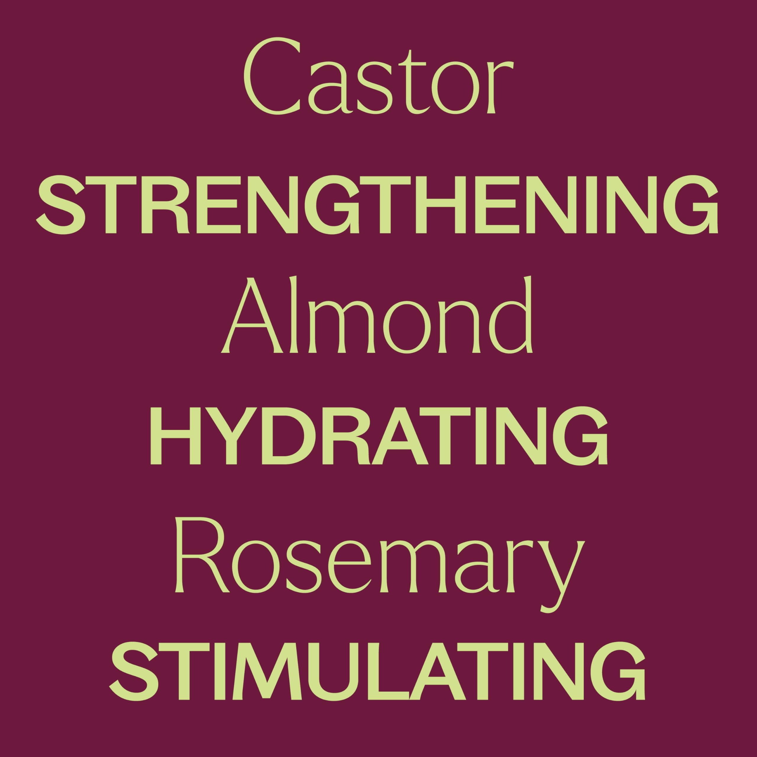 Plant Therapy Rosemary & Castor Oil: cuidado del cuero cabelludo para mayor salud.