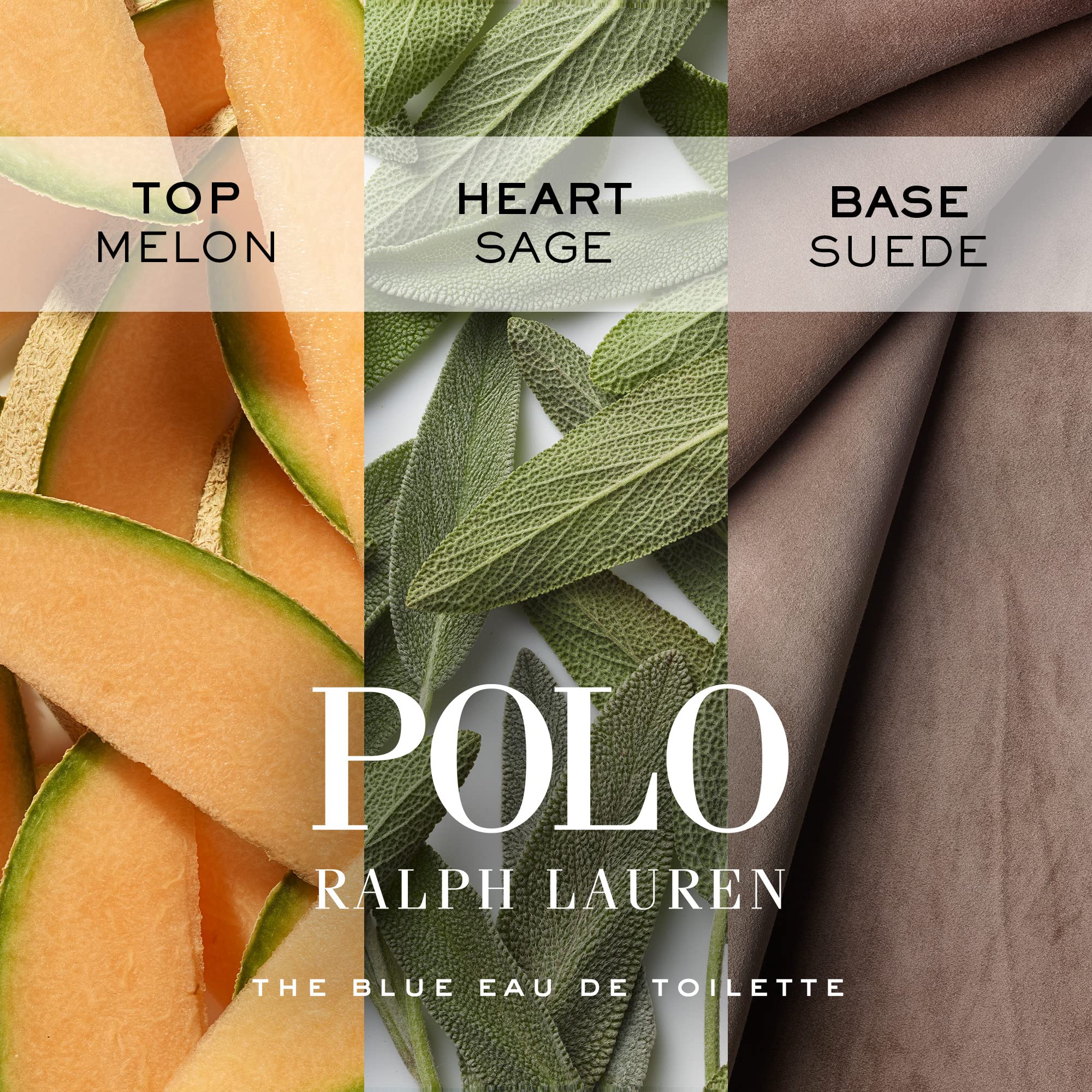Polo Blue packaging and deodorant stick design highlighting an alcohol-free formula.