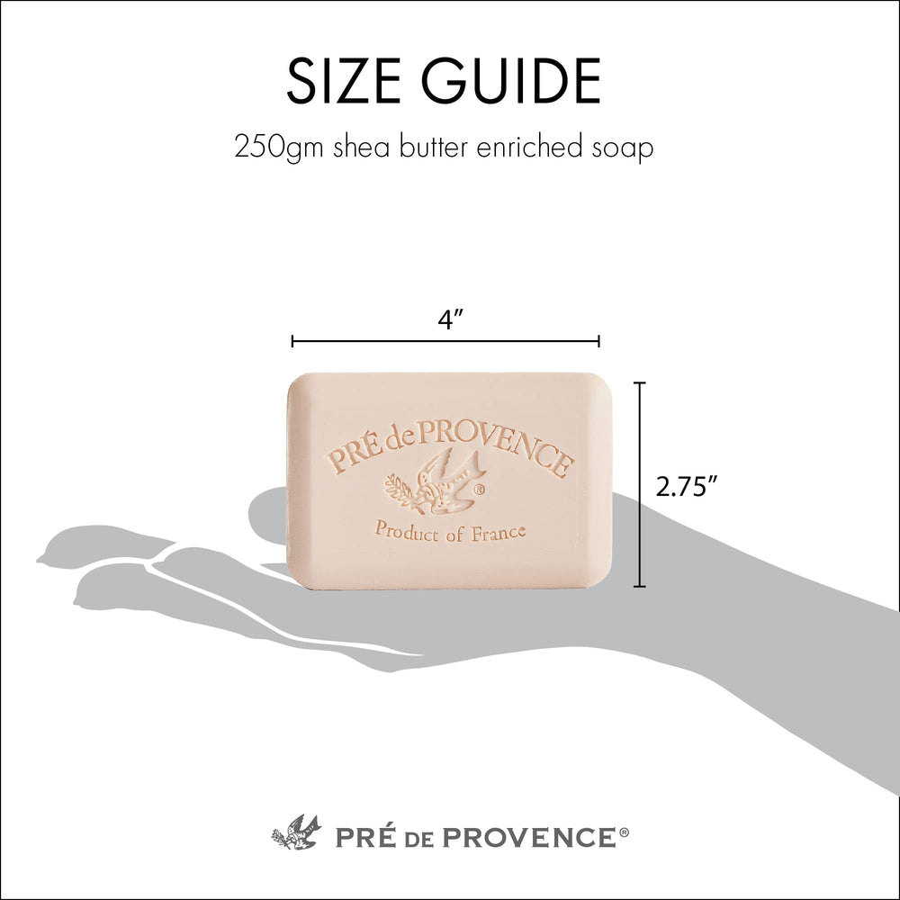 Pre de Provence empaque regalo, lujo para la mesa de baño