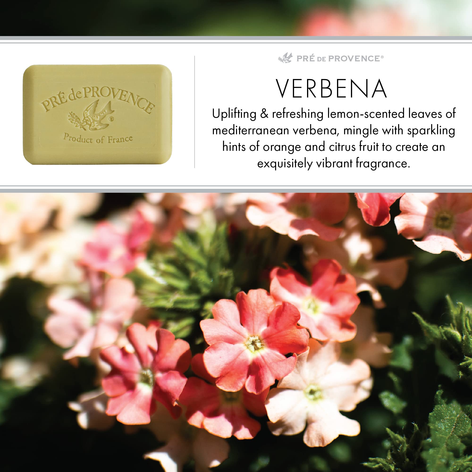 Pre de Provence Verbena: fragancia cítrica que llena el baño de aroma.