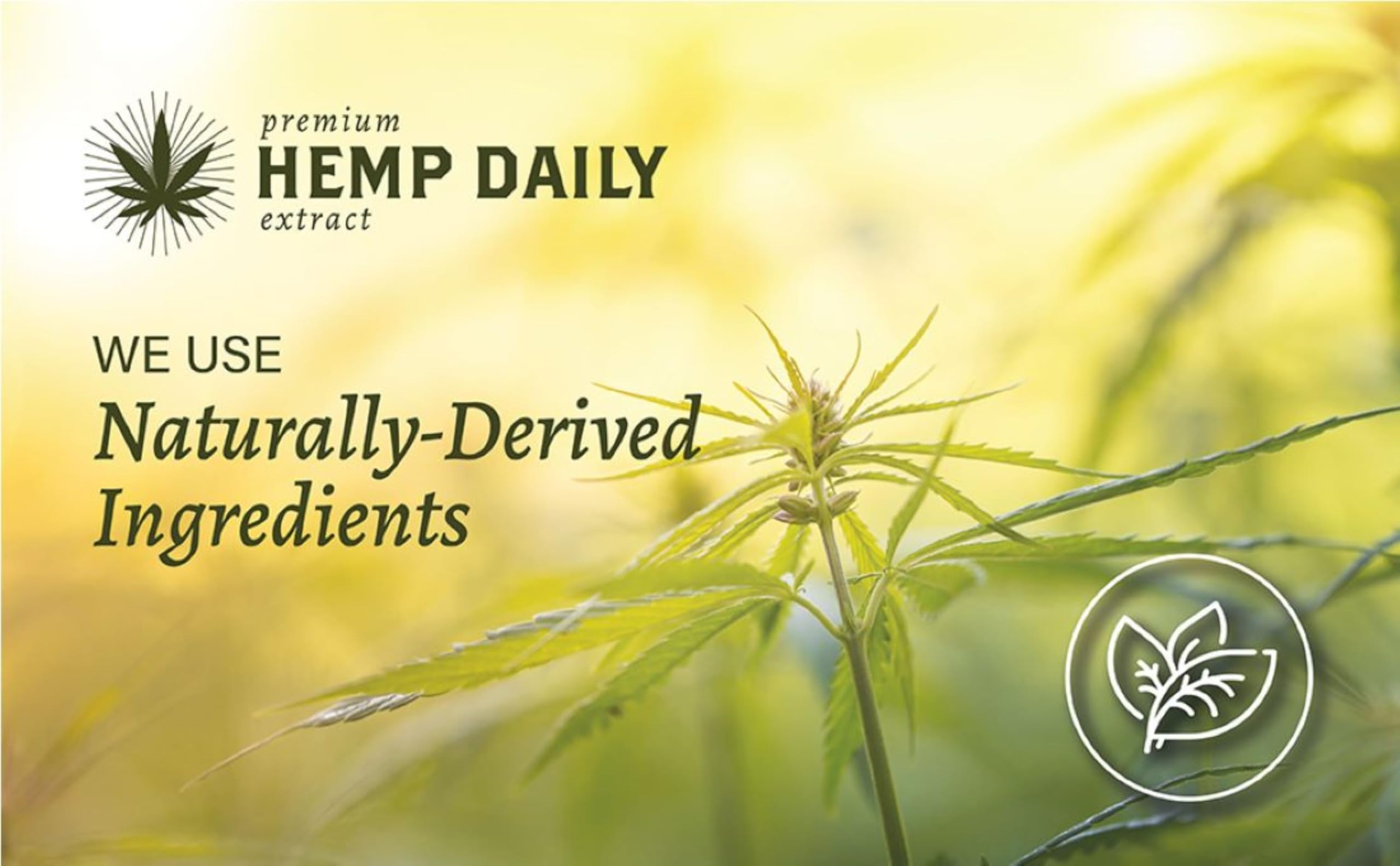 Premium Hemp Extract Daily crema para manos y pies, piel nutrida y revitalizada