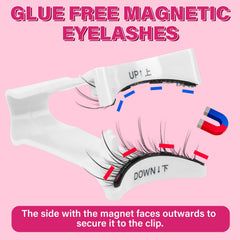 Two-pair set from PRO LASHBEAUTY ready for travel and repeated use.