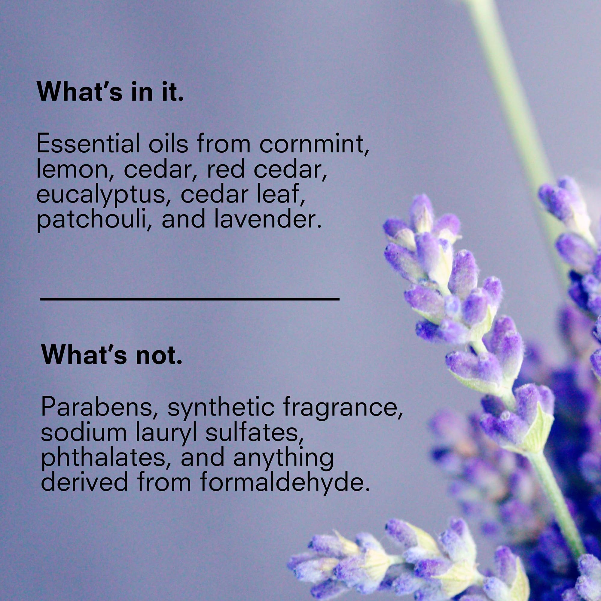 Public Goods Body and Hand Lotion essential oil scent for a refreshing feel