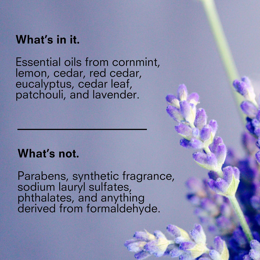 Public Goods Body and Hand Lotion essential oil scent for a refreshing feel