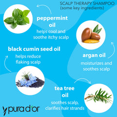 PURA D'OR Scalp Therapy Shampoo label highlights tea tree and argan oil.