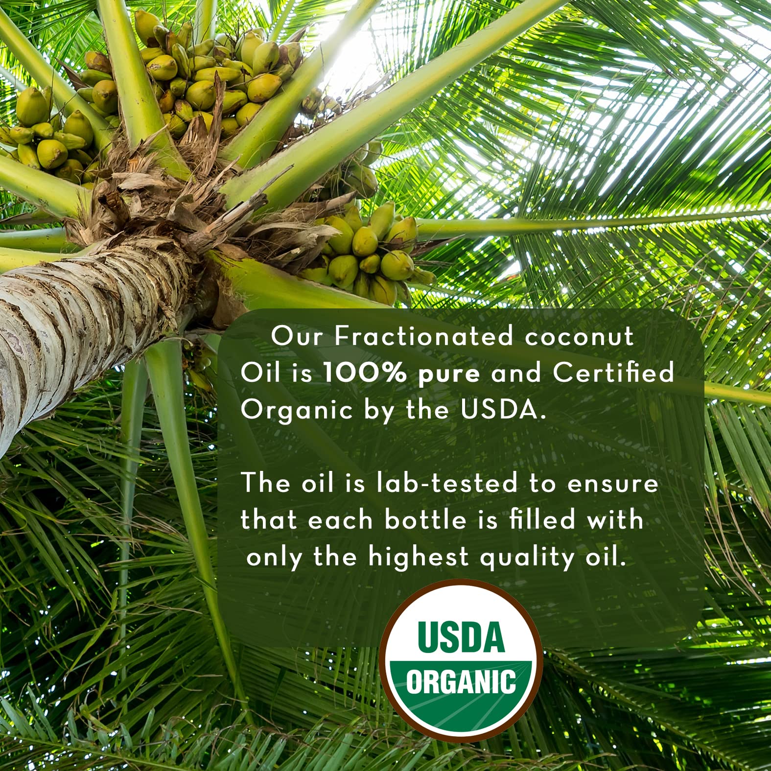 Pure Body Naturals etiqueta USDA orgánico visible garantizando calidad