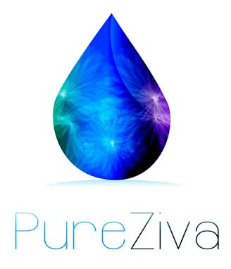 Pure Ziva Seashell powder with brush offers precise application and long wear.