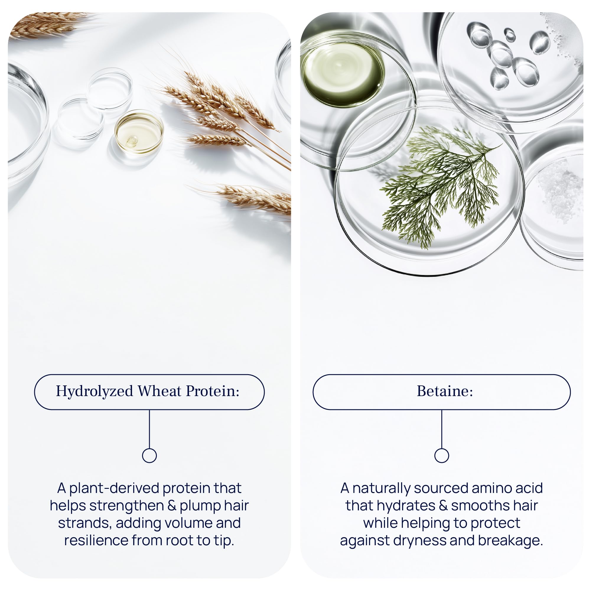Pureance Hydralift hydrolyzed wheat protein highlights strengthening potential.