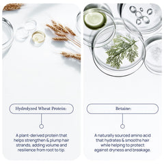 Pureance Hydralift hydrolyzed wheat protein highlights strengthening potential.