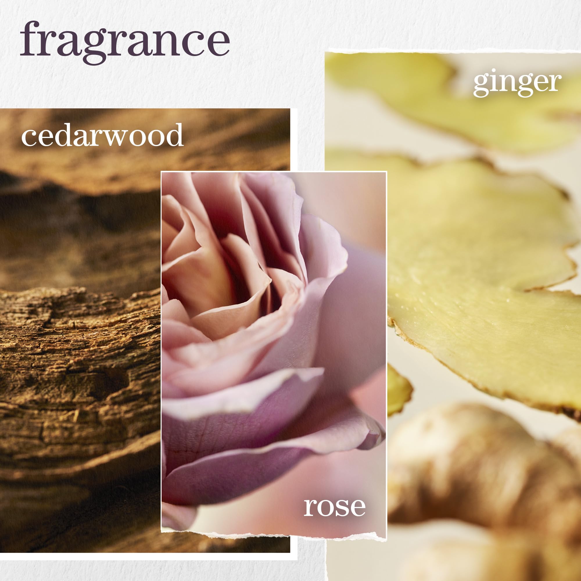 Pureology Color Fanatic detangled hair close-up shows 9x easier combing.