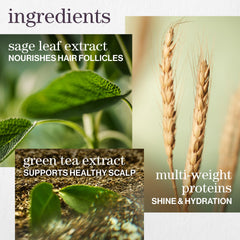 Pureology Hydrate Conditioner application on hair locks in moisture for softer strands