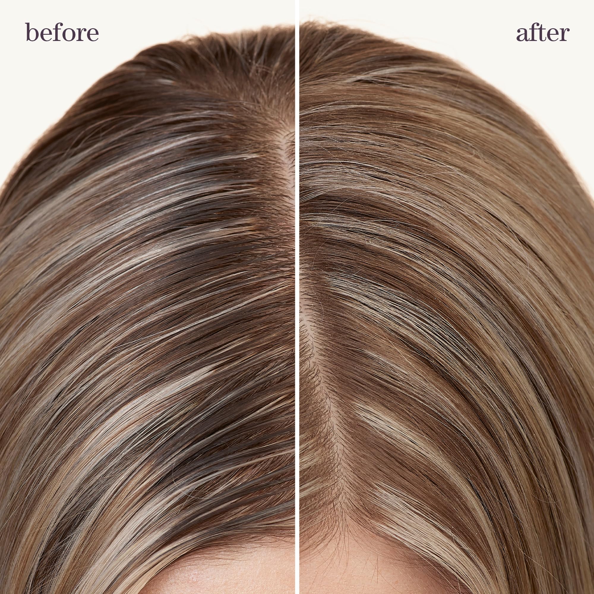 Pureology Refresh Go Dry Shampoo, textura suave que aporta volumen sin apelmazar el cabello.