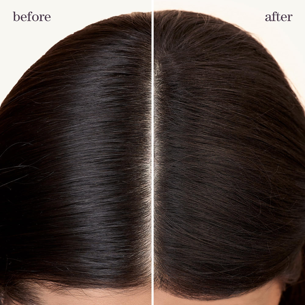 Pureology Refresh Go Dry Shampoo, uso profesional recomendado para mantener color y frescura entre lavados.