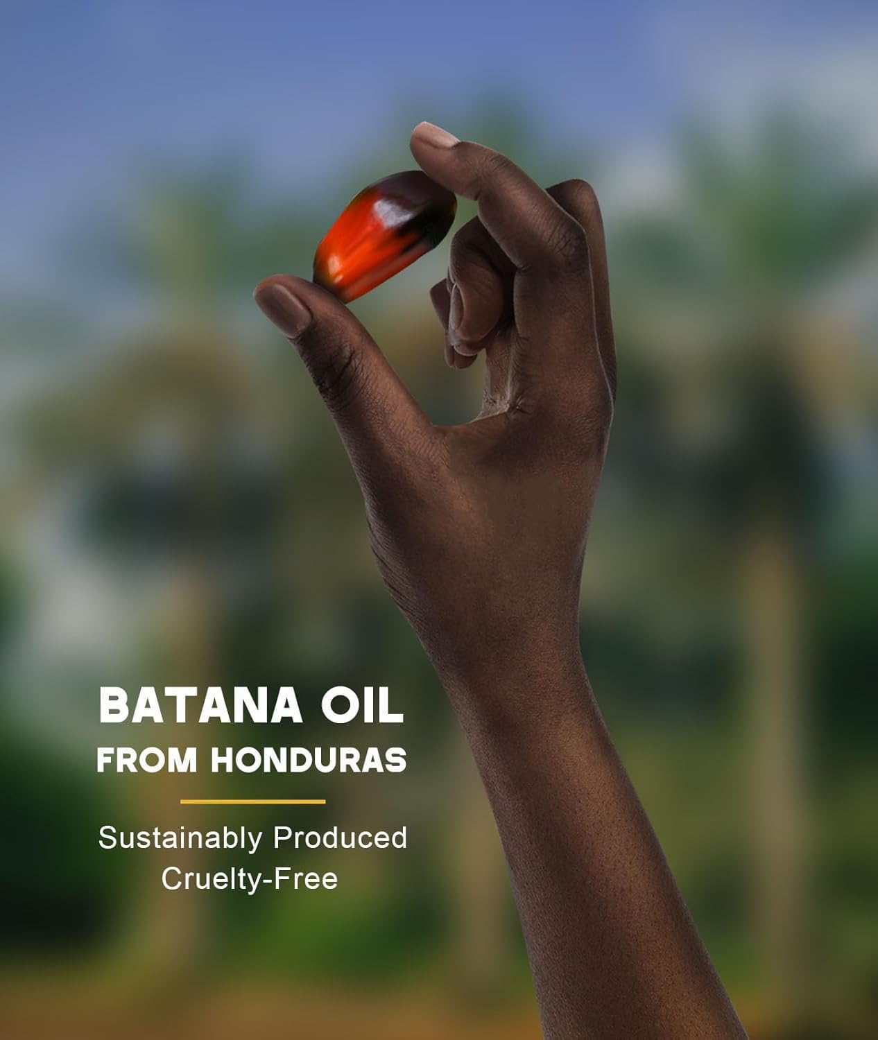 Qytin Batana Oil usage step illustration for an easy scalp care routine