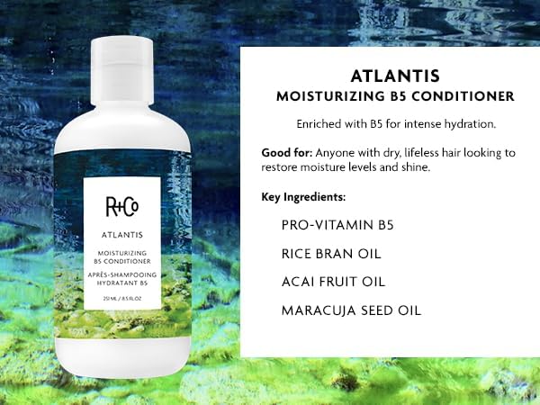 R+Co Atlantis B5 panthenol ingredient graphic illustrating repair and moisture retention