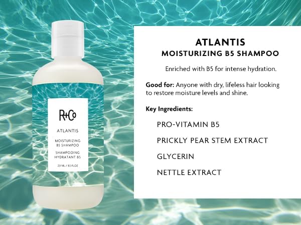 R+Co Atlantis conditioner bottle showing smoothing and moisture sealing