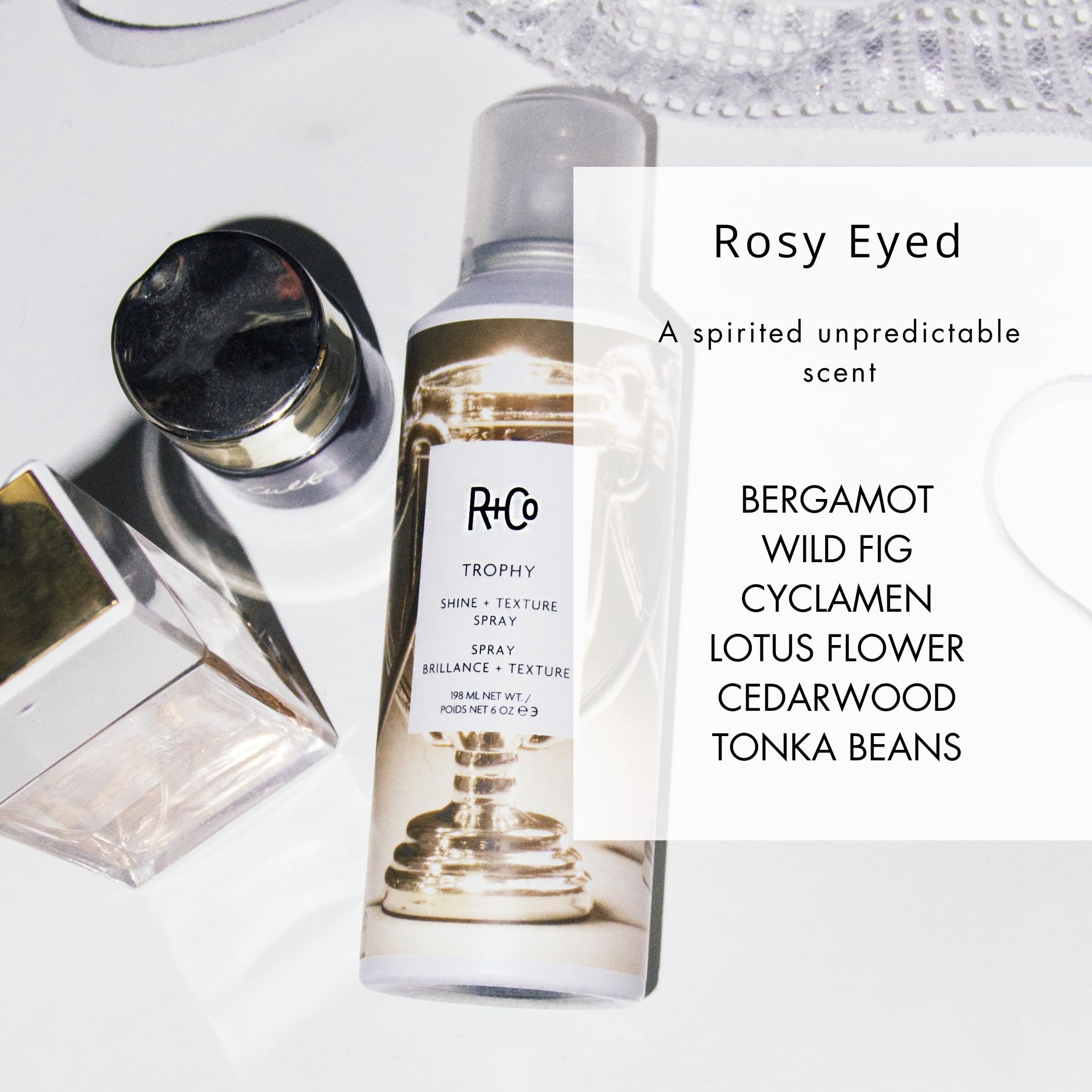 R+Co Trophy Shine + Texture Spray shine finish without weighing hair down.