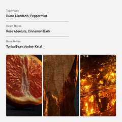 Rabanne 1 Million blood mandarin top notes energize the mood.