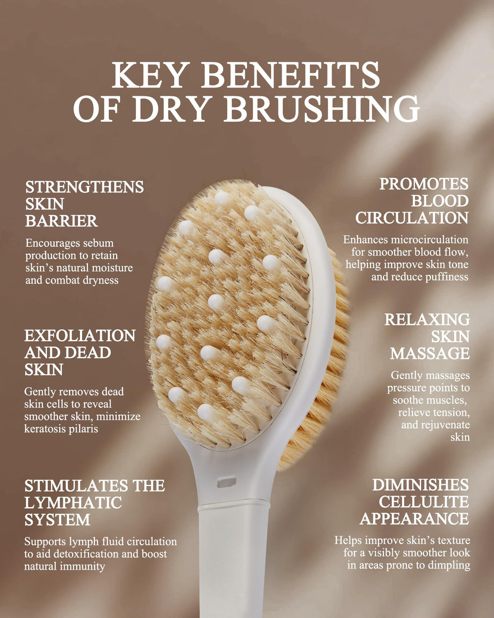 Rafow cerdas jabalí naturales para exfoliación efectiva de la piel.