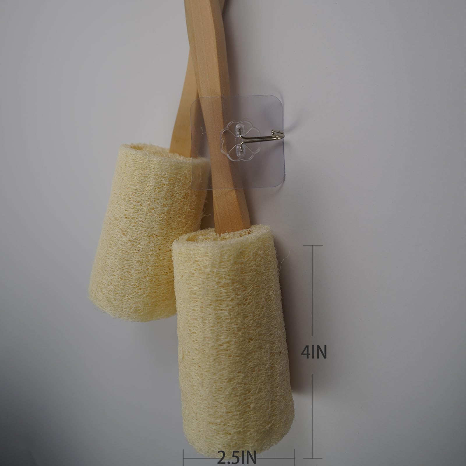 Rainlily Wen lufa con textura esponjosa para exfoliar la piel
