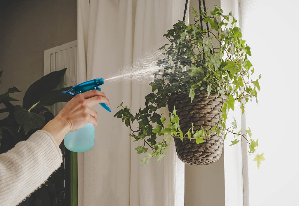 Rayson pet care demonstration using green bottle for gentle shower