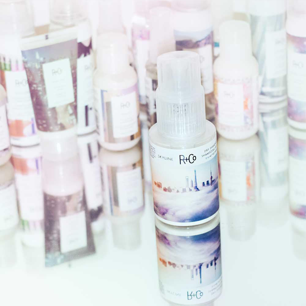 R+Co Skyline Dry Shampoo Powder suitable for all hair types.