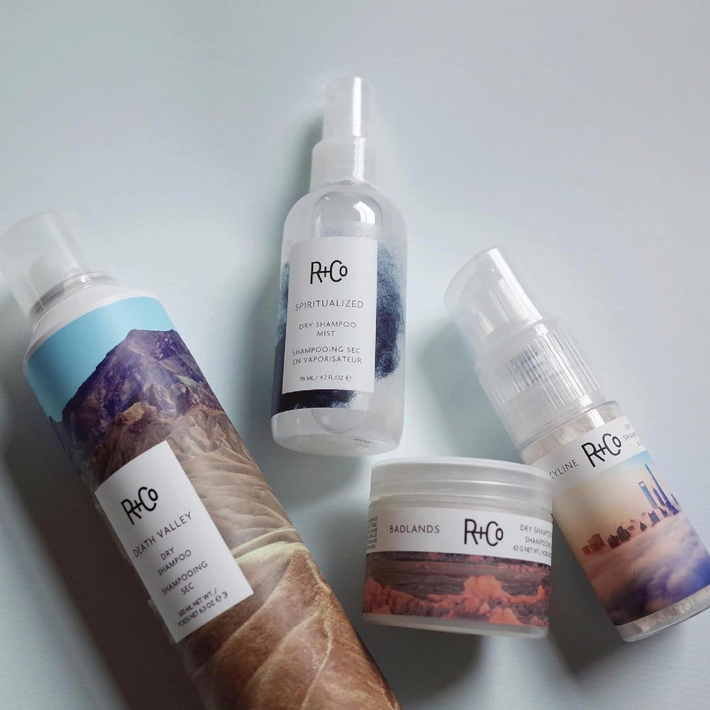 R+Co Skyline Dry Shampoo Powder TSA-approved travel companion in 1 oz.