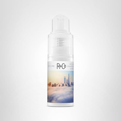 R+Co Skyline Dry Shampoo Powder refreshes second-day hair with lift.