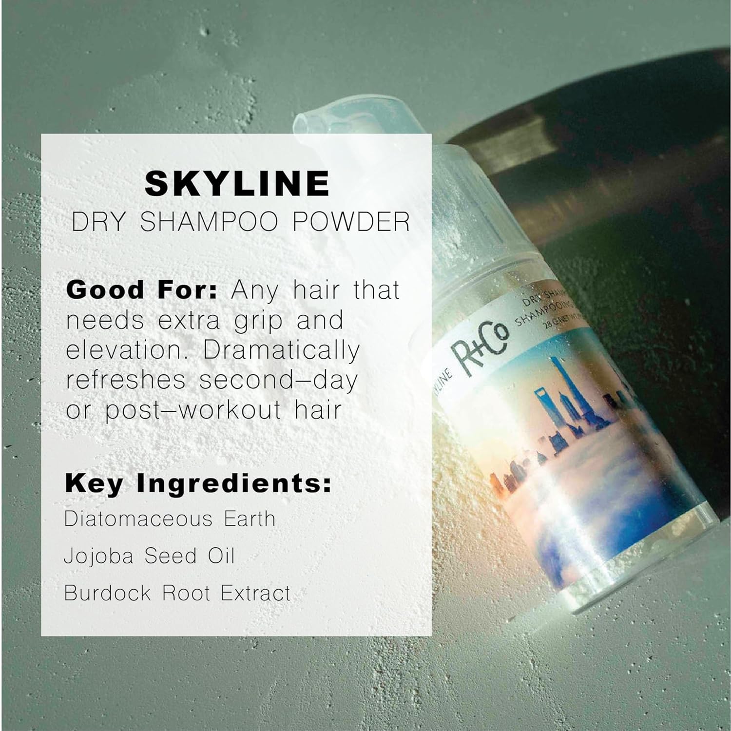 R+Co Skyline Dry Shampoo Powder contains diatomaceous earth to absorb oil.