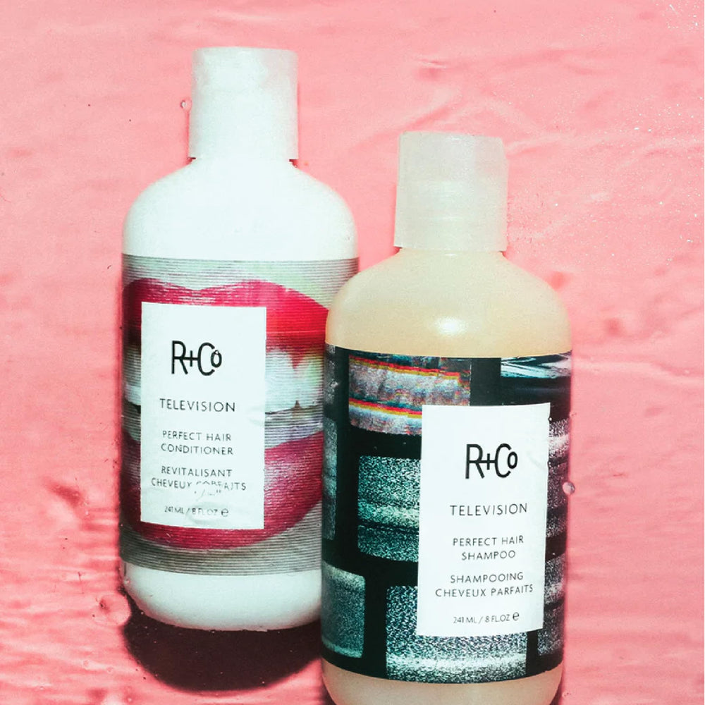 R+Co Television Perfect use image shows detangled, smooth hair from the set