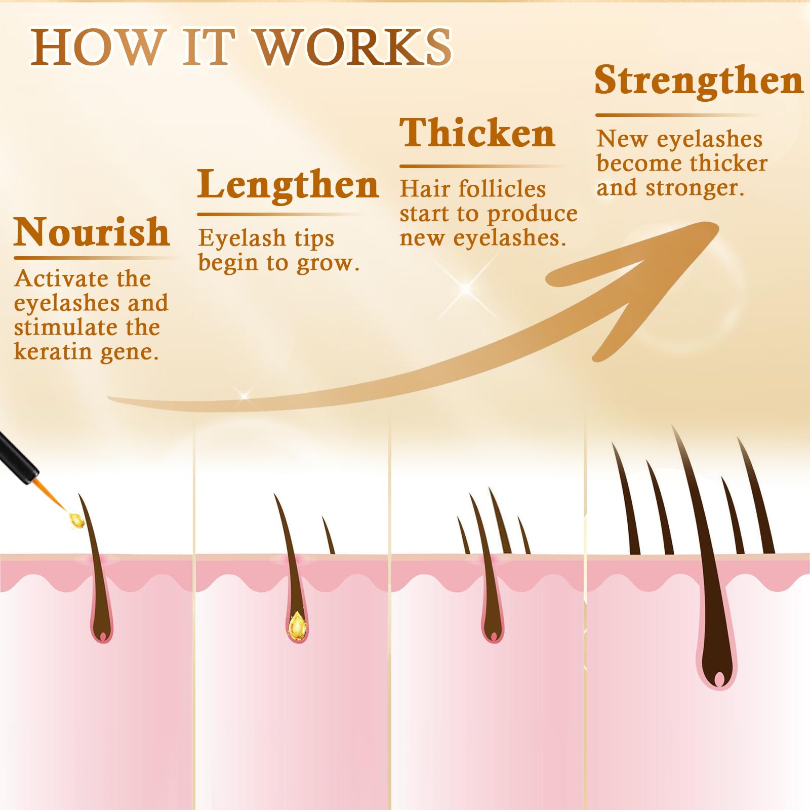 Recuren Plus green tea extract conveys antioxidant lash support.