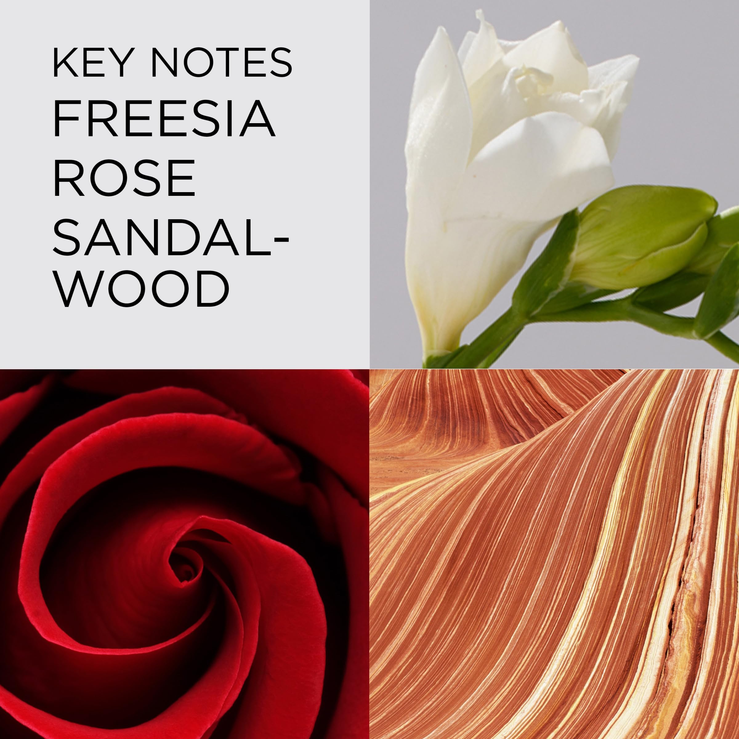 Red Door perfume with roses and freesia notes on skin