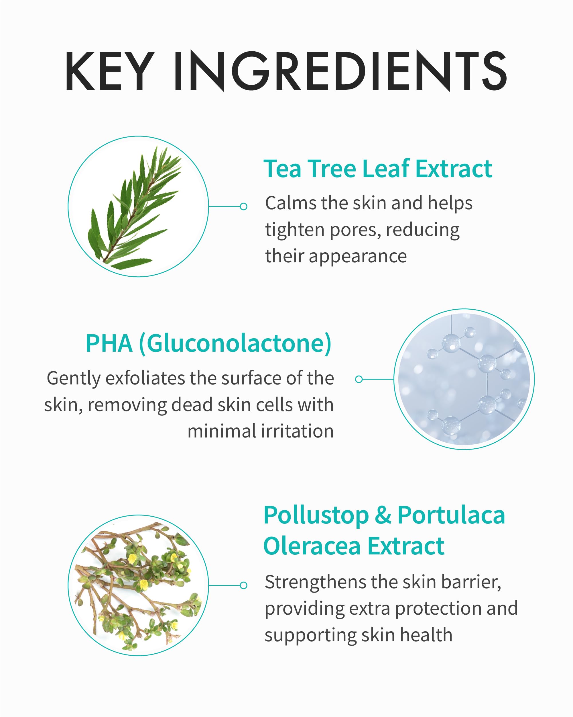 REJURAN Rebalancing Toner product label with salmon DNA ingredients