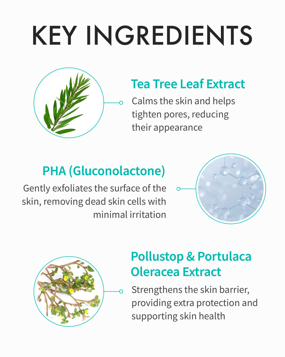REJURAN Rebalancing Toner product label with salmon DNA ingredients