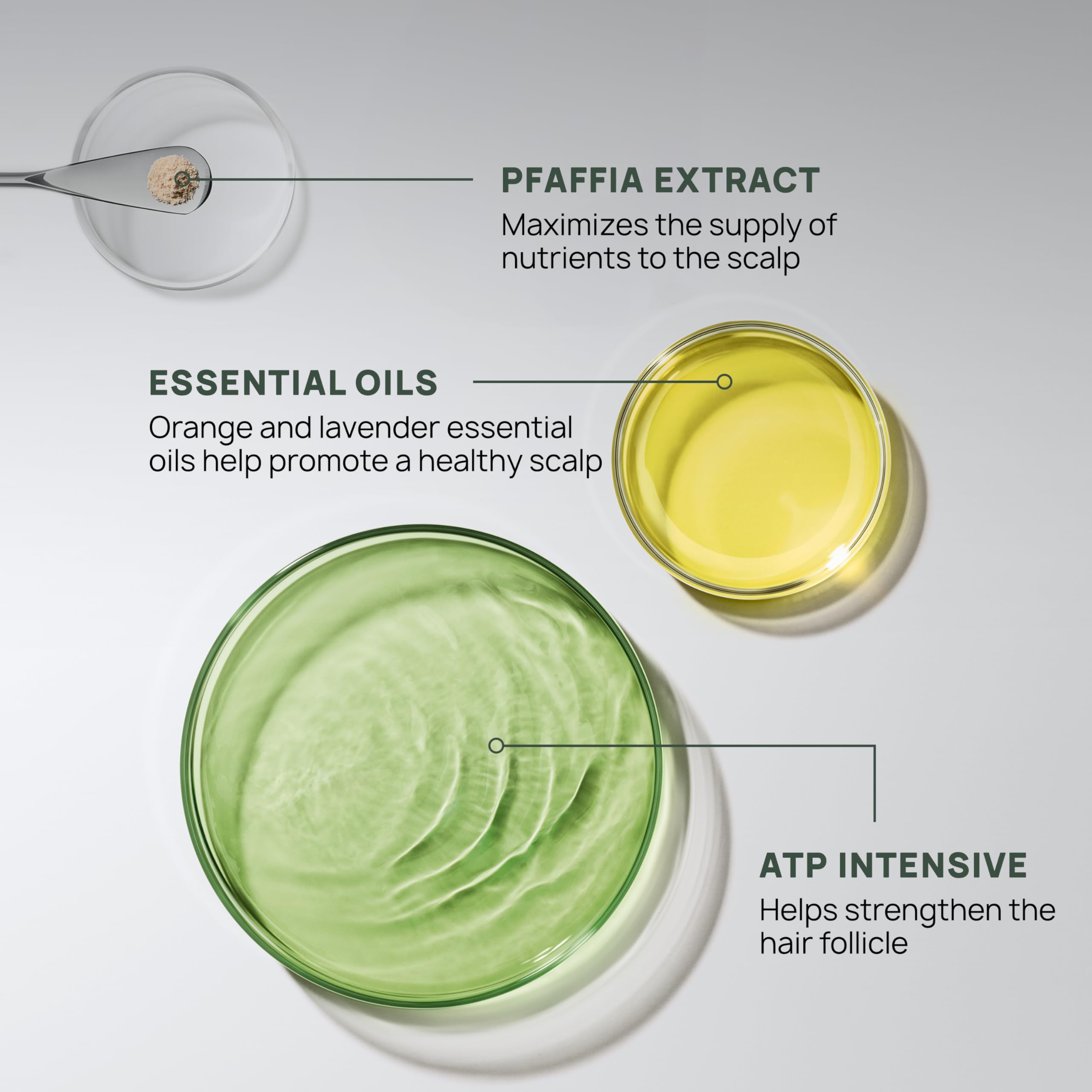 Hands massaging René Furterer Triphasic Serum into a damp scalp