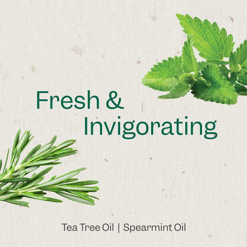 Renpure Tea Tree & Mint lather forming a gentle, refreshing foam