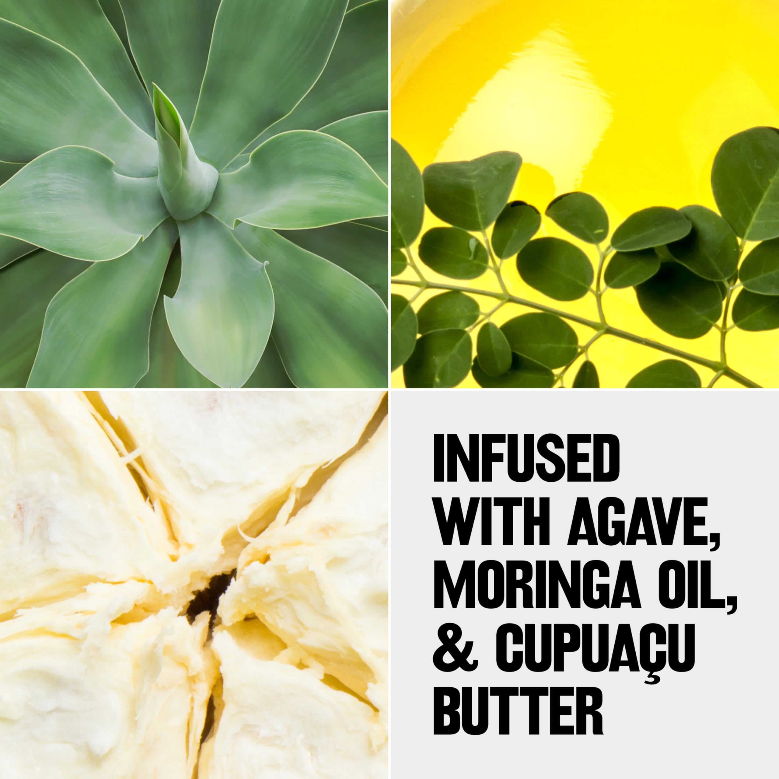 Hydrating ingredients (agave, moringa oil, cupuacu butter) visible in product concept