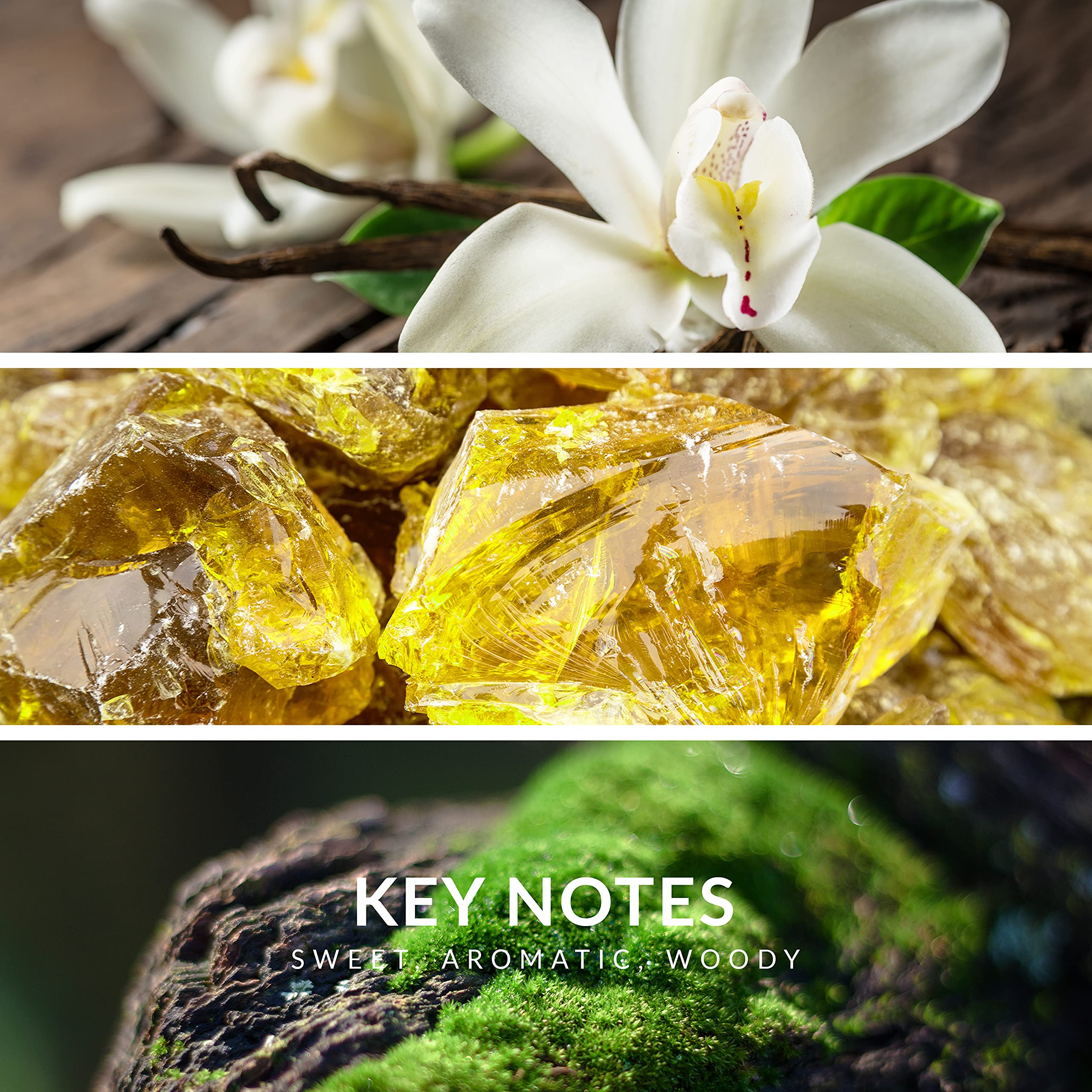 Reyane Tradition Insurrection Classique amber note close-up conveys warmth