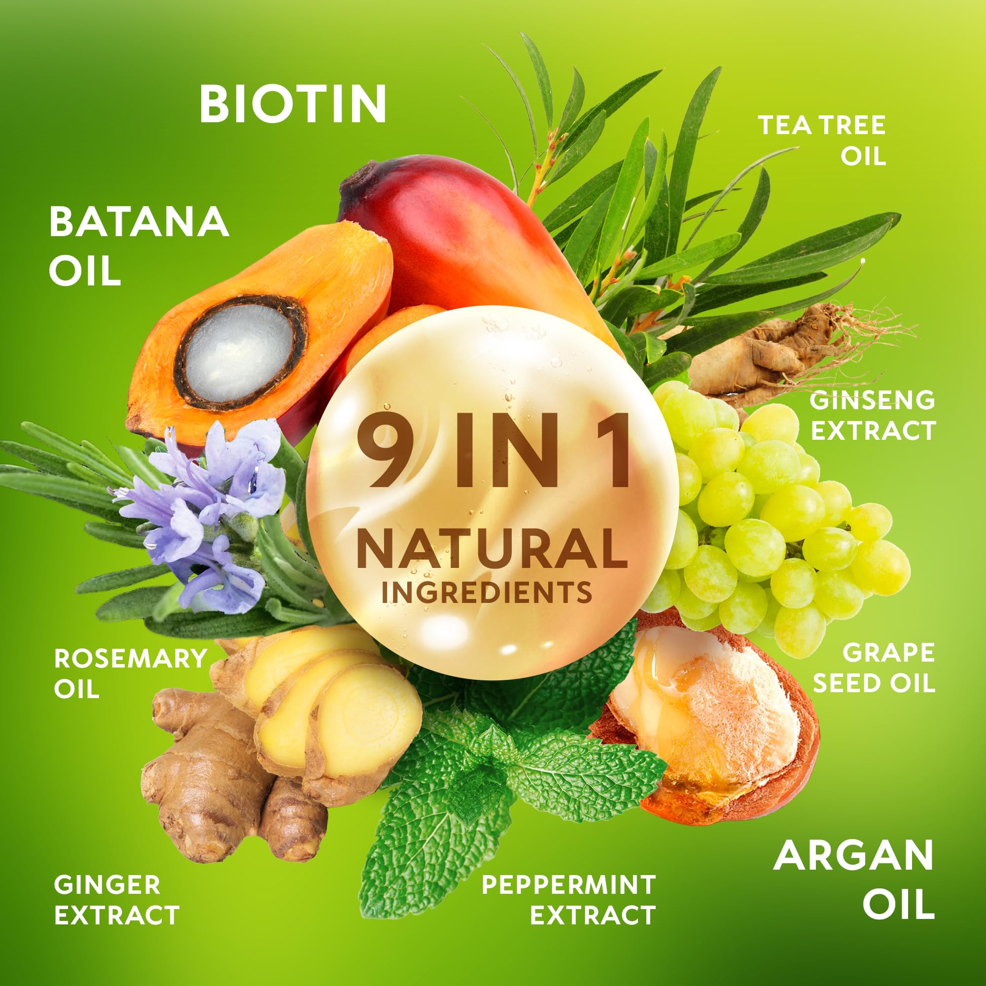 RICHGRAND Batana Champú biotina e ingredientes nutritivos para mechones.
