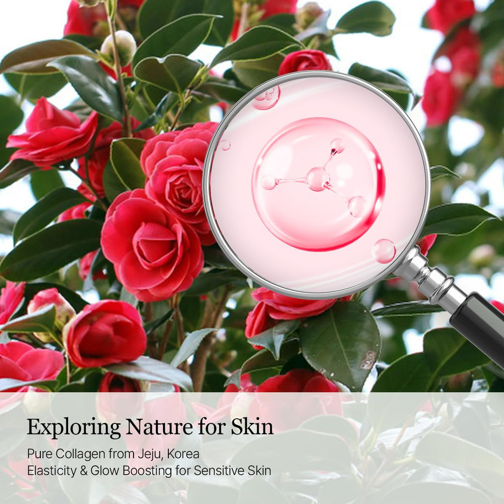 ROUND LAB Elasticity-support visual suggesting firmer-feeling skin from daily use.