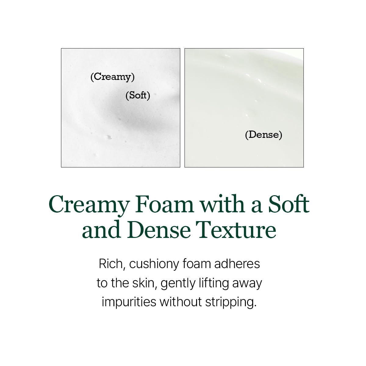 ROUND LAB Pine Calming Cica Cleanser exfolia suavemente con BHA y LHA