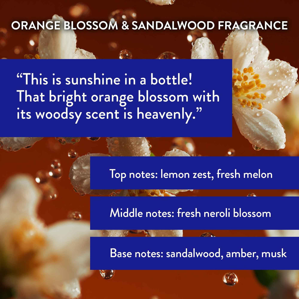 Shampoo and conditioner bottles from Routine Wellness duo set displayed for everyday use