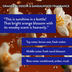 Shampoo and conditioner bottles from Routine Wellness duo set displayed for everyday use