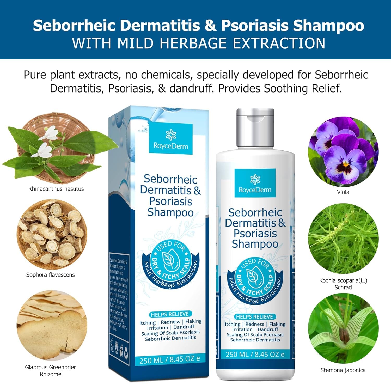 Roycederm folliculitis shampoo application scene showing easy scalp massage.